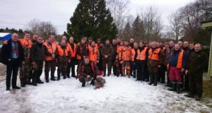 Lõppenud jahihooajal kütiti Eestis 114 hunti