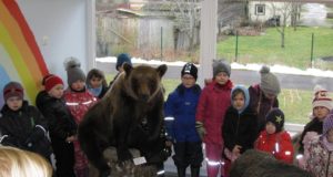 Saaremaal toimunud näitusel osutusid lemmikuteks karu- ja kopratopis