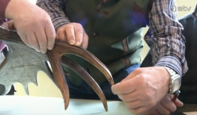 trofeede hindamine parnus