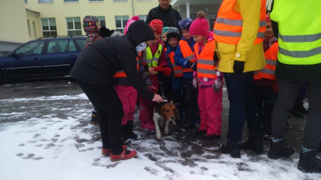 üprus kehras koertega4
