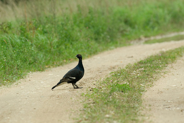 6150022093_bbdd6b75be_z