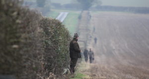 EJSi kommentaar Maa-ameti uuendusele