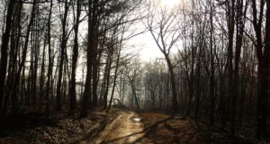 EJS 15.nädala (10.- 16.04) eelinfo (täiendatud)