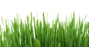 EJS 16.nädala 17.- 23.04 2017 eelinfo