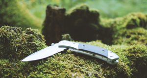 Mais toimub nugade teritamise koolitus