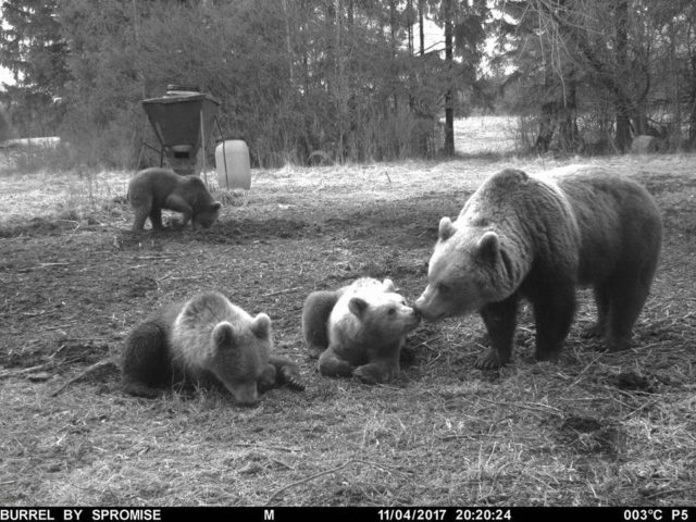 rajakaamera-ema-poegadega