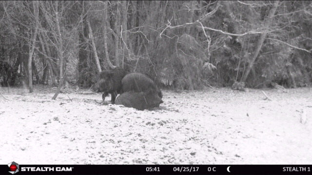 sead lumes-vahtramäe