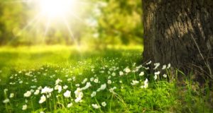 EJS-i eelinfo 24.04-30.04