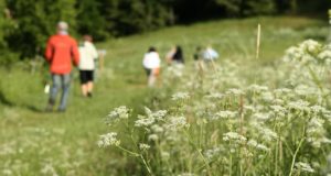 Eesti tähistab rahvusvahelist elurikkuse päeva