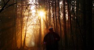 EJS-i eelinfo 22.05-28.05