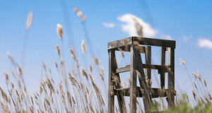 EJS-i eelinfo 29.05-04.06