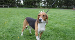 EJS-i eelinfo 8.05-14.05