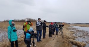 Valmis linnusõbraliku käitumise juhis