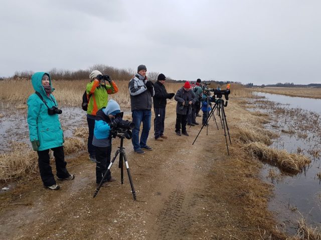 Linnuvaatlejad - foto autor Andres Kalamees