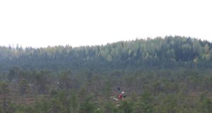 Keskkonnaamet ja partnerid kutsuvad looduskaitsekuu matkadele