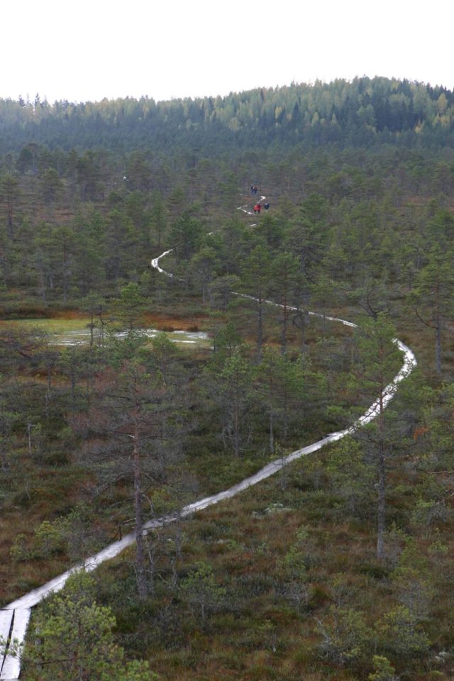 Matkajad Paukjärve lähistel. Foto Siim Veski