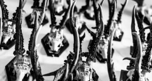 EJS-i eelinfo 19.06-25.06