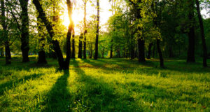 Paadenurme looduskaitseala laieneb