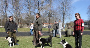 Avatud on registreerimine jahikoerte erinäitusele