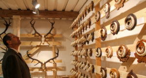 VIDEO! Jahitrodeede näituse ülevaade koos intervjuudega