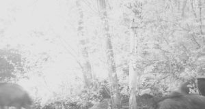 Lembitu Jahimeeste Selts: oleme katku sigadest eemal hoidnud