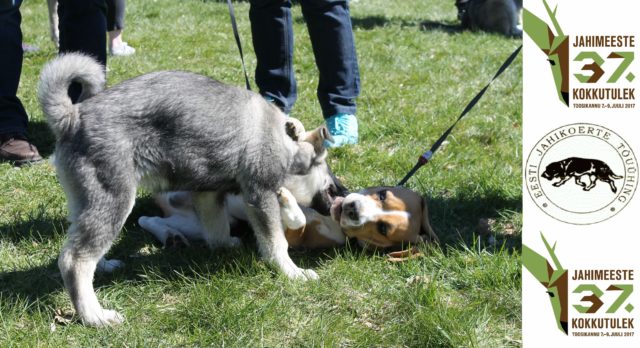 jahikoertedemokokkutulekul-3