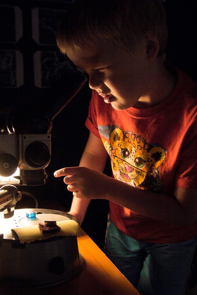 hansapäevad teaduslinnjpg