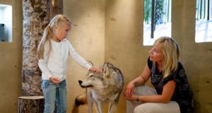 Sagadis toimub jahindusalane perepäev