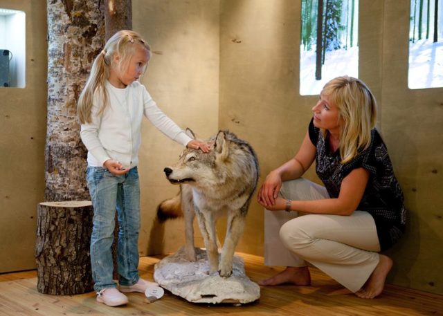 sagadi jahiperepäev