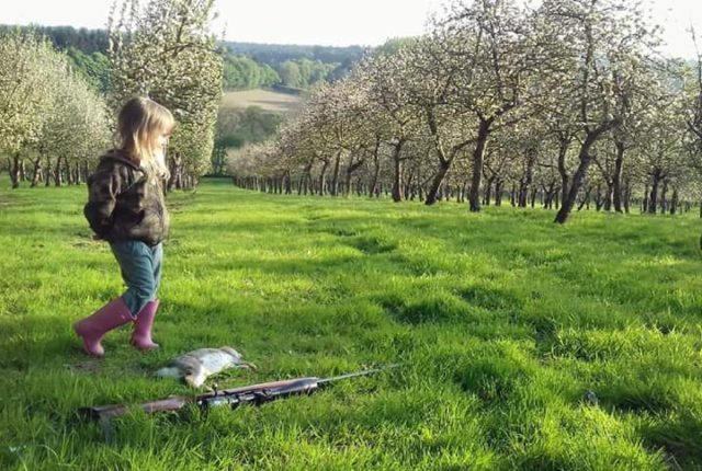 DD27FF9F221266620128989ED2749449