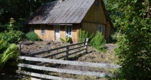 Piltuudis: metssead laastasid Hiiumaal aiamaad