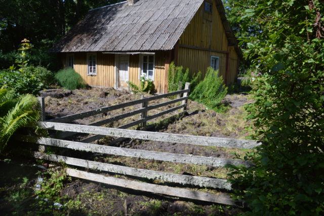 DSC_0062-siga-margus-ameerikas