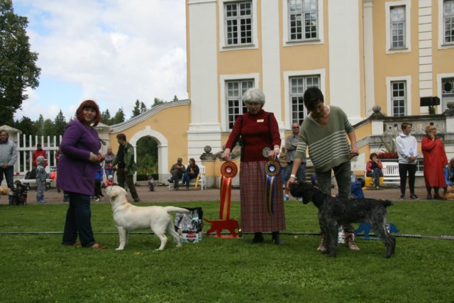 IMG_1164-jahikoer-JV2