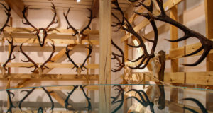 Looduskalendri tiim külastas trofeenäitust