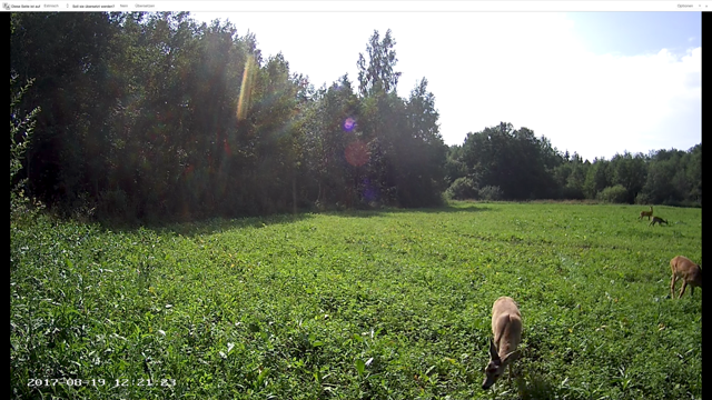 kabrad-dieter-jakubowski