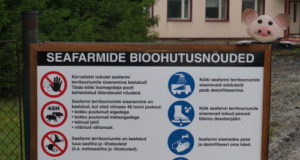 Kõik Eesti seafarmid peavad üles panema hoiatava plakati