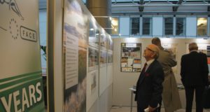 Brüsselis avati noorjahimeeste näitus