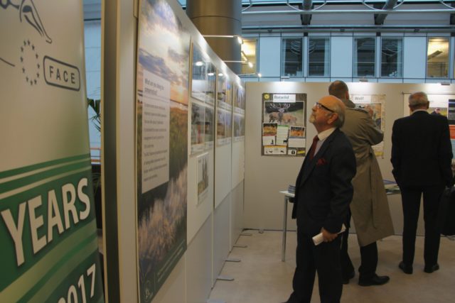 IMG_6207-1-iloveimg-converted