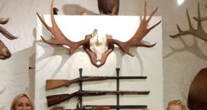 Islandi naiskütid vallutasid Eesti jahimaid