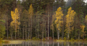 Looduspäeval saavad lapsed uurida sügisest loodust ja maailma loomariiki