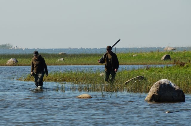 DSC00712-vesto-nõgel