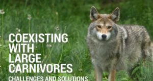 FACE korraldab suurulukite-teemalise konverentsi