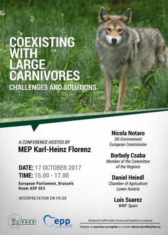 poster_large_carnivores