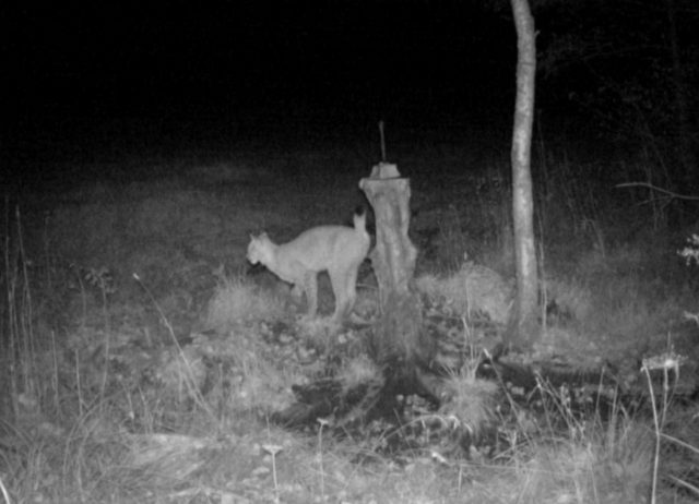 viljandiilves-september1