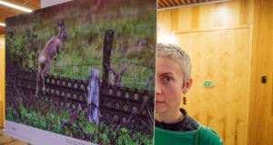 Aasta loomast valmis õpetlik näitus