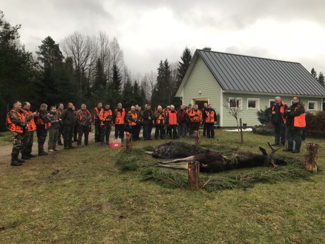 IMG_1268-lääne-viru põdrajaht