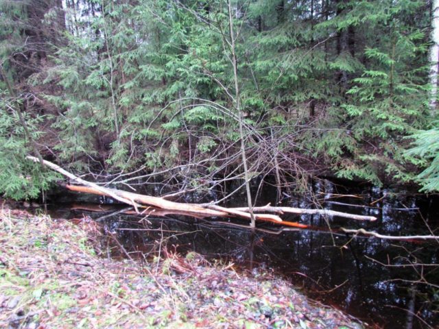 leili-IMG_3177-212540