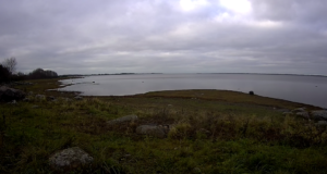 Läänemaale paigaldati šaakali rajakaamera