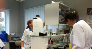 EJ 5/2017: Ulukihaiguste testimine veterinaar- ja toidulaboratooriumis