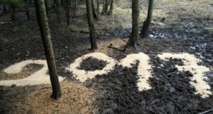 PILTUUDIS: Metskits saadab oma aasta väärikalt ära